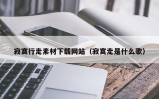 沙洋寂寞行走素材下载网站（寂寞走是什么歌）