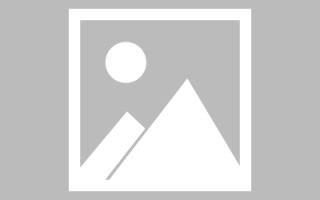 沙洋巨量图标素材网站（巨量创意logo）